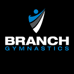 Open Gym at Branch Gymnastics of Kalamazoo (Kids Sports USA)