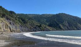 Shelter Cove Adopt-A-Beach Cleanup