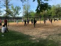 Volleyball:  Recreational + Intermediate