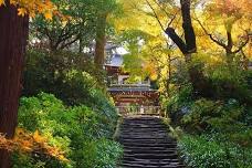 Kamakura Private Tour: Exploring Zen Temples and Beautiful Gardens with a Licensed Guide