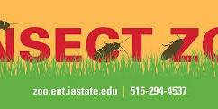 ISU Insect Zoo