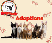 Adoptions at Petco Governors Square