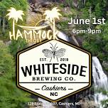 Hammock Theory at Whiteside Brewing