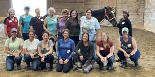 Litchfield, ME: Beyond Horse Massage Weekend Course