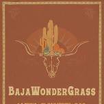 BajaWonderGrass