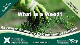 What is a Weed?