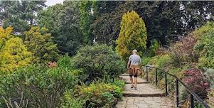 De-stress in nature at Fletcher Moss