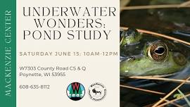 MacKenzie Center Underwater Wonders: Pond Study