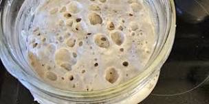 Sourdough Starter 101 Class 6/8/24