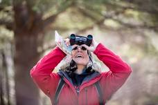 Birding for All: An Accessible, Inclusive Birding Outing at the Distant Hill Nature Trail