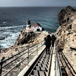 4 Part day trip, Sandunes,Lighthouse, Elephant Seals, Whales, Cypress tunnels.