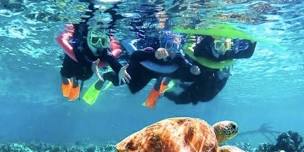 Roatan reef snorkeling and tour.