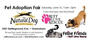 June 15th Adoption Event Natural Dog Greensboro