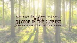 Hygge in the Forest: Session 3