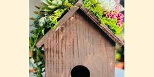 Wine   Design Living Succulent Birdhouse,