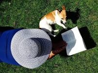 Reading to Dogs