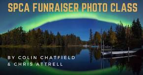 Creative Photography For Beginners (SPCA Fundraiser)