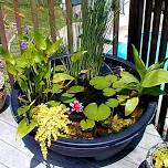 WATER BOWL GARDEN CLASS