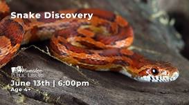 Snake Discovery