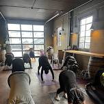 Yoga + Wine at Alta Cellars