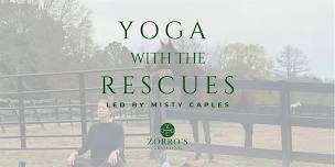 Yoga with the Rescues