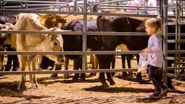 Canyonlands PRCA Rodeo