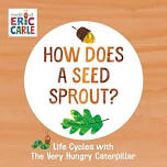 Toddler Time: How Does a Seed Sprout?