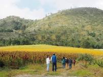 Hiking the Teuhtli volcano in Mexico City (4 hour hike)