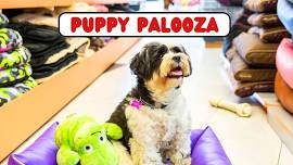 Puppy Palooza