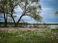 Take a Walk on the Wild Side!  Saturday, June 8th at 8am with Master Naturalist Jack Chiles