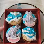 Whale Shark Cupcake Class