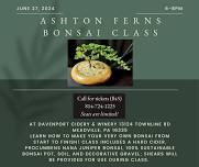 Ashton Ferns Sip & Bonsai