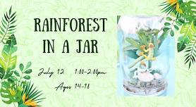 Rainforest in a Jar