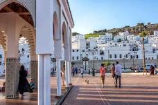 From Malaga and Costa del Sol: Day Trip to Tetouan, Morocco