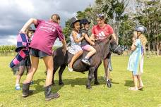 Animal Experience Session + Pony Ride - FULLY BOOKED