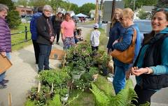 Mt. Blue Area Garden Club Annual Plant Sale