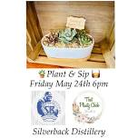 Succulent Planter Workshop at Silverback Distillery