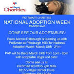 National Adoption Week Adoption Event