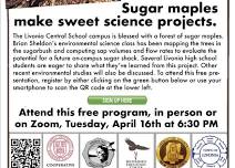 Sugar Maples: Sweet Science