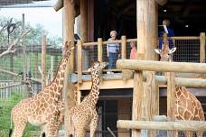 Family Fun Night - Abilene Zoo