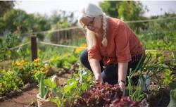 Cawongla Community Garden meeting