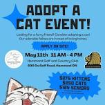 Cat and Kitten adoption event