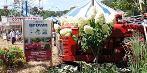 North Branford Potato & Corn Festival 2024