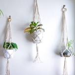 Macrame Plant Hanger Class