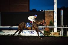 Stake Races @ Presque Isle Downs