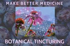 Make Better Medicine – The Art & Science of Botanical Tincturing Intensive