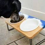 5/11 4pm DIY Resin Raised Dog Food Tray WITH 2 Bowls