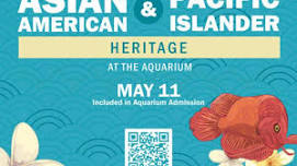 Asian American & Pacific Islander Heritage Celebration