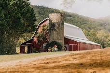 Live Music at Tiger Mountain Vineyards