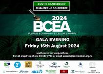 Business and Community Excellence Awards 2024